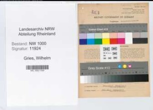 Entnazifizierung Wilhelm Gries, geb. 22.01.1900 (Ingenieur)