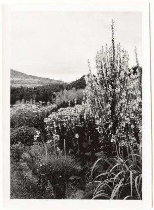 Garten Schindhelm, Kahla: Gartenplan