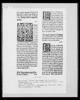 Aus: Liber Consolationis