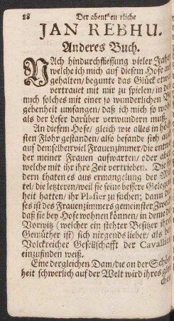 Der abentheuerliche Jan Rebhu. Anderes Buch.
