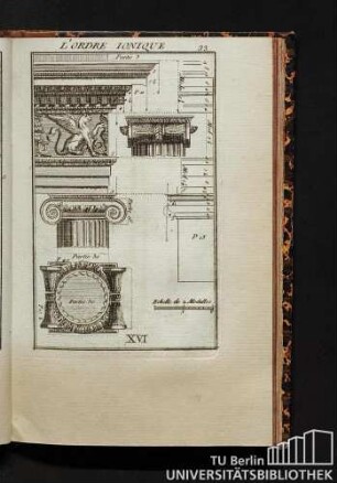 XVI. L'Ordre Ionique. Ordre Toscan.