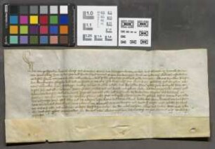 Friedberg: Quittung über bezahlte Reichssteuer