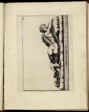 [Taf.] 41 [- Taf.] 50