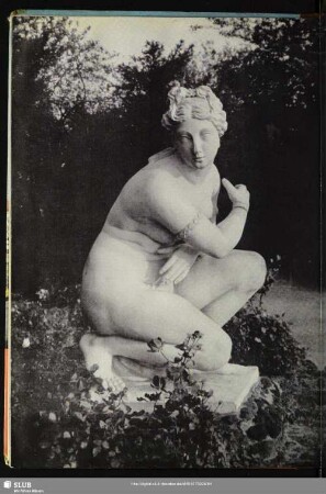 54 Venus im Wörlitzer Park