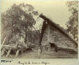 Haus der Ao, dahinter die Plattform