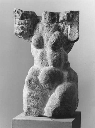 Weiblicher Torso