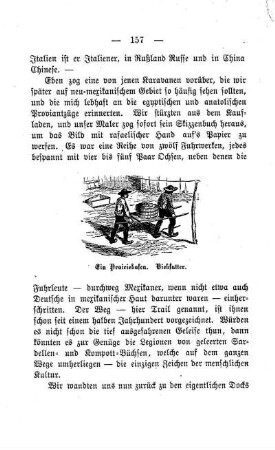 Ein Prairiehafen: Viehfutter