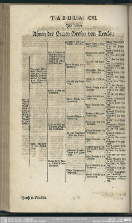 Tabula CVI. Von denen Ahnen der Herren Grosen von Trockau