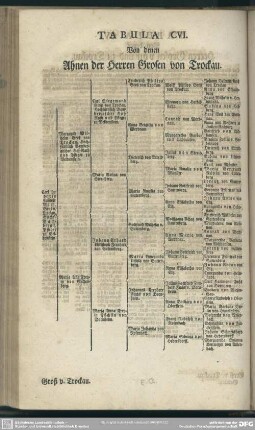 Tabula CVI. Von denen Ahnen der Herren Grosen von Trockau