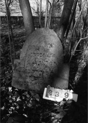 Grabstein 339